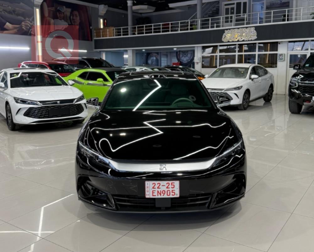 بي واي دي هان